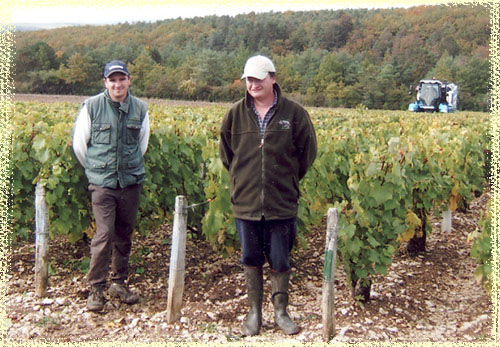 Bocquet fils